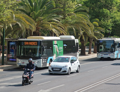 Malaga Public Transit